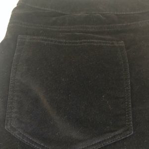 Style & Company Black Velvety Pants